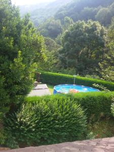 einen Garten mit einem Pool im Gras in der Unterkunft Casa de Aldea La Pescal in La Pescal