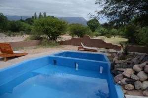 a blue swimming pool in a yard with a bench at El Zorro Gris in Tinogasta