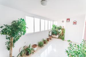 Fotografia z galérie ubytovania Cubo's Apartamento Origen del Sur v destinácii Málaga