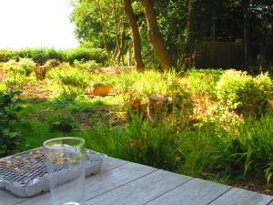a glass sitting on a table in a garden at Weston Manor in Freshwater