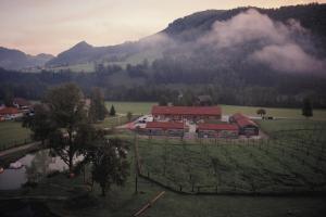 Paesaggio naturale nelle vicinanze dell'appartamento