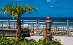 a palm tree next to a bench next to the ocean at IN CENTRO ROOMS Vicino Cefalù SELF-CHEK-IN in Campofelice di Roccella