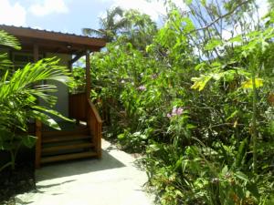 a path leading to a cabin in a garden at The Pool House in Saint Philip