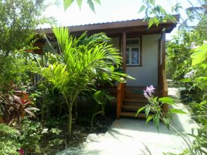 a small house in the middle of a garden at The Pool House in Saint Philip
