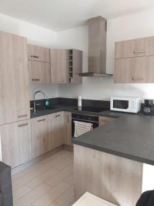 a kitchen with wooden cabinets and a black counter top at Residence le Château in Champs-Sur-Marne