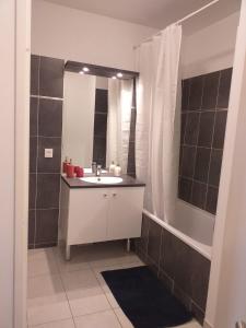 a bathroom with a sink and a mirror at Residence le Château in Champs-Sur-Marne