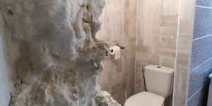 a bathroom with a rock wall next to a toilet at Caves du Coteau 3 in Lunay