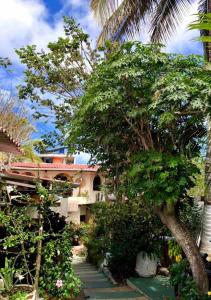 Gallery image of Nelyza's Suites & Adventure in Puerto Ayora