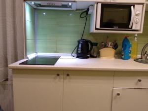 a kitchen with a sink and a microwave at KashEmir in Kyiv