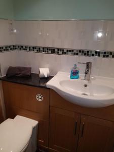 a bathroom with a white sink and a toilet at Moorland House in Syston