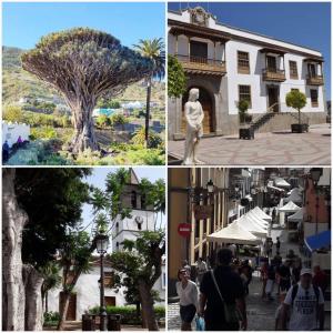 Fotografia z galérie ubytovania Plaza San Marcos CASCO HISTORICO v destinácii Icod de los Vinos
