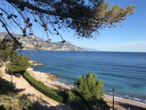 サン・ジャン・カップ・フェラにある"L'olivadou" ST JEAN CAP FERRATの丘から海の景色を望む