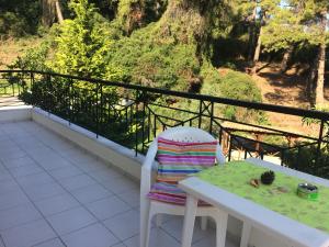 Balcone o terrazza di Villa Elani
