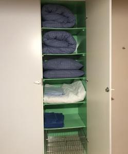 - un dressing avec des étagères vertes et des serviettes dans l'établissement SÄHKÖPIRTTI SALMIVAARA, à Salla