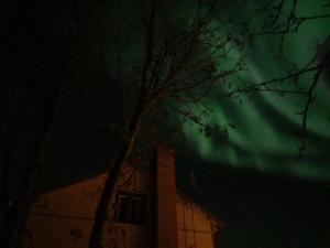 un bâtiment avec un arbre devant un ciel vert dans l'établissement SÄHKÖPIRTTI SALMIVAARA, à Salla