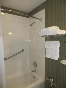 Kylpyhuone majoituspaikassa Carleton of Oak Park