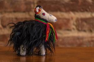 Animaux dans l'auberge de jeunesse ou à proximité