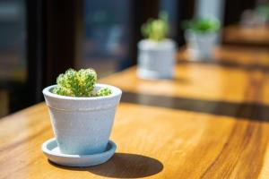 曼谷富裕 8 號青年旅舍的相册照片