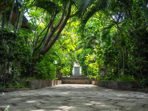 a path in a garden with trees and a building at Scuba Tribe Bali dive-resort in Tulamben