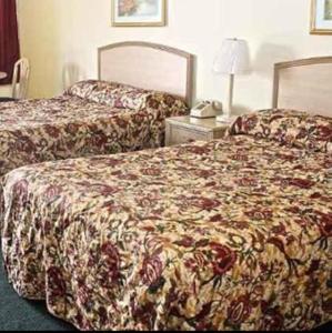 莫比爾的住宿－美國鄉村家庭旅館- 摩拜，酒店客房带两张床和电话