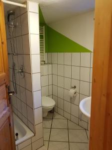 a bathroom with a toilet and a green stripe on the wall at Ferienwohnung Spreter in Zimmern ob Rottweil