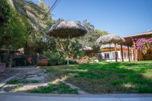 a yard with two large umbrellas in the grass at Idan Lodge in the Arava in Paran
