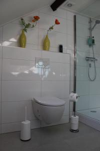 a bathroom with a toilet and a shower with vases on the wall at Hofstede Prinsland in Kortgene +10 photos