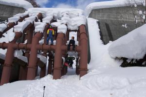 Το Monkey Rider τον χειμώνα