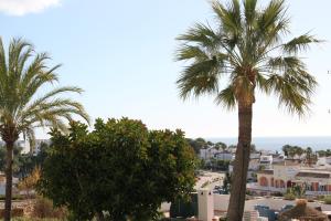 un grupo de palmeras frente a una ciudad en Miraflores Golf Gardens II Luxe Appartement at Riviera del Sol, en Mijas Costa
