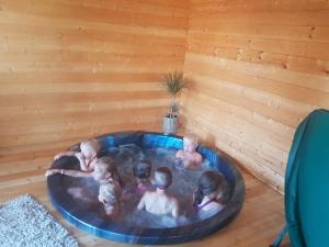 Hostia v ubytovaní Agroturystyka Gawra Chorzępowo Sieraków Puszcza Notecka