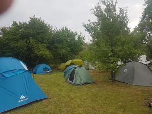 Fotografia z galérie ubytovania Agroturystyka Gawra Chorzępowo Sieraków Puszcza Notecka v destinácii Sieraków