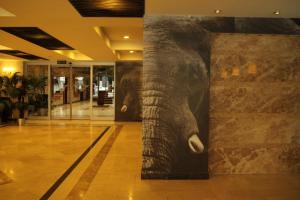 Fotografie z fotogalerie ubytování Arya Hotel Sakarya v destinaci Sakarya