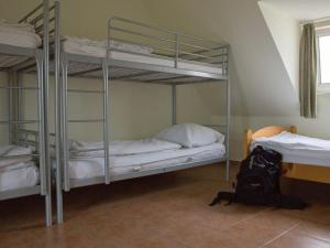2 Etagenbetten in einem Zimmer mit einem Rucksack auf dem Boden in der Unterkunft Wanderlust Hostel in Flörsheim
