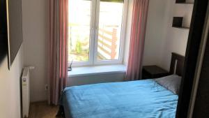 sypialnia z niebieskim łóżkiem i oknem w obiekcie Lux Garden Apartment w Kołobrzegu +23 zdjęcia