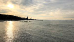 Przyroda w pobliżu tego apartamentu