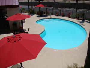 - une piscine avec un parasol rouge et un parasol rouge dans l'établissement Ramada by Wyndham Tempe/At Arizona Mills Mall, à Tempe