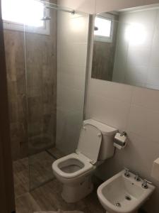a bathroom with a toilet and a shower and a sink at 9 de Julio 2200 in Rosario