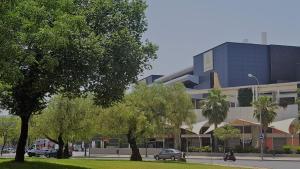 a building on a street with trees in front of it at Apartamento frente a Palacio de Congresos (Fibes) in Seville