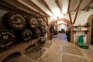 a room with a bunch of wine barrels on the wall at Mas Boronat Resort in Salomó