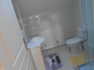 uma pequena casa de banho com WC e lavatório em ZooParc de Beauval, gite du vivier em Seigy