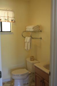 a bathroom with a toilet and a sink at Mother Lode Motel in Placerville