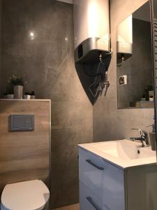 a bathroom with a toilet and a sink and a mirror at Apartament koloru morza - Szmaragd in Łeba