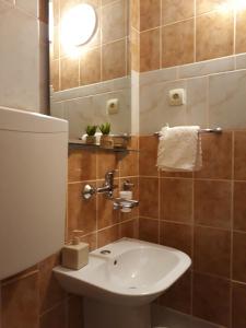 Koupelna v ubytování Guesthouse Vukasevic