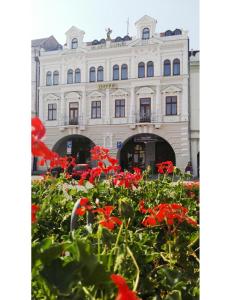 ジャテツにあるHotel Zlatý Andělの赤い花の建物