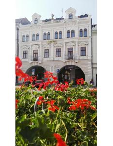 a building with red flowers in front of it at Hotel Zlatý Anděl in Žatec