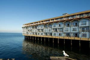 a bird standing on a pier next to the water at The Edgewater, a Noble House Hotel in Seattle