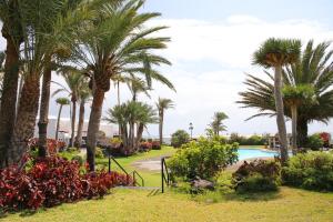a park with palm trees and a swimming pool at Vivienda Vacacional Balcón sobre el Mar in Los Cancajos