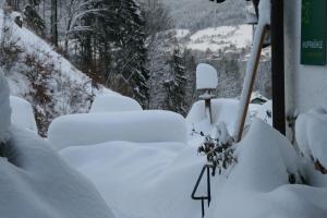 Afbeelding uit fotogalerij van Hupfmühle Pension in St. Wolfgang