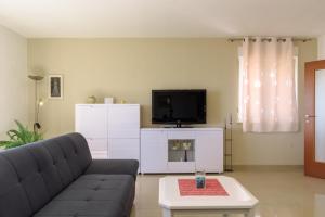 Televízia a/alebo spoločenská miestnosť v ubytovaní Apartman Niko