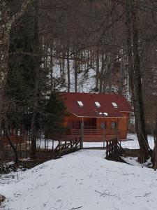 a log cabin with a red roof in the snow at Holiday Guest House in Odorheiu Secuiesc